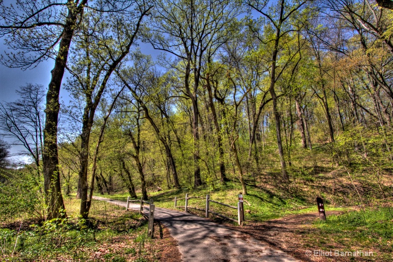 Wissahickon in Spring 28