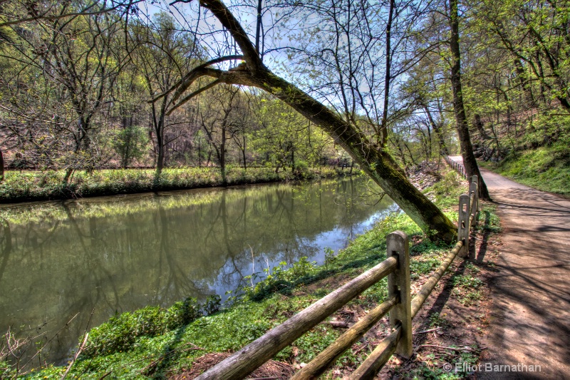 Wissahickon in Spring 27