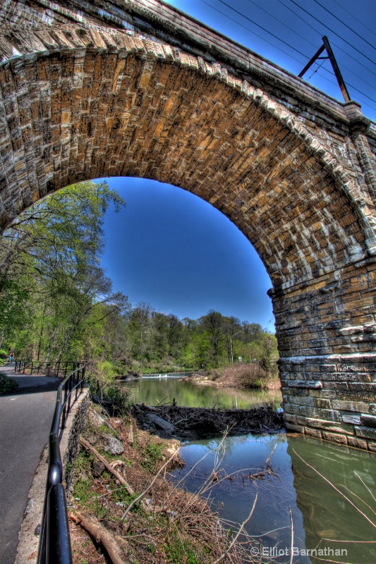 Wissahickon in Spring 11