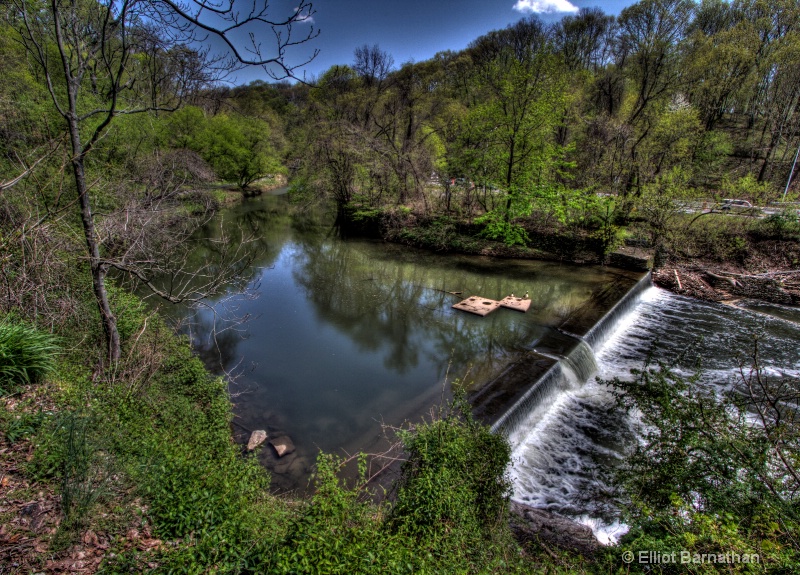 Wissahickon in Spring 8