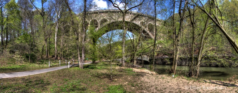 Wissahickon in Spring 1