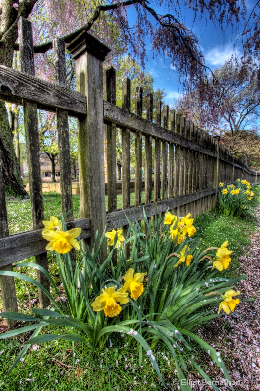 Philadelphia in Spring 1