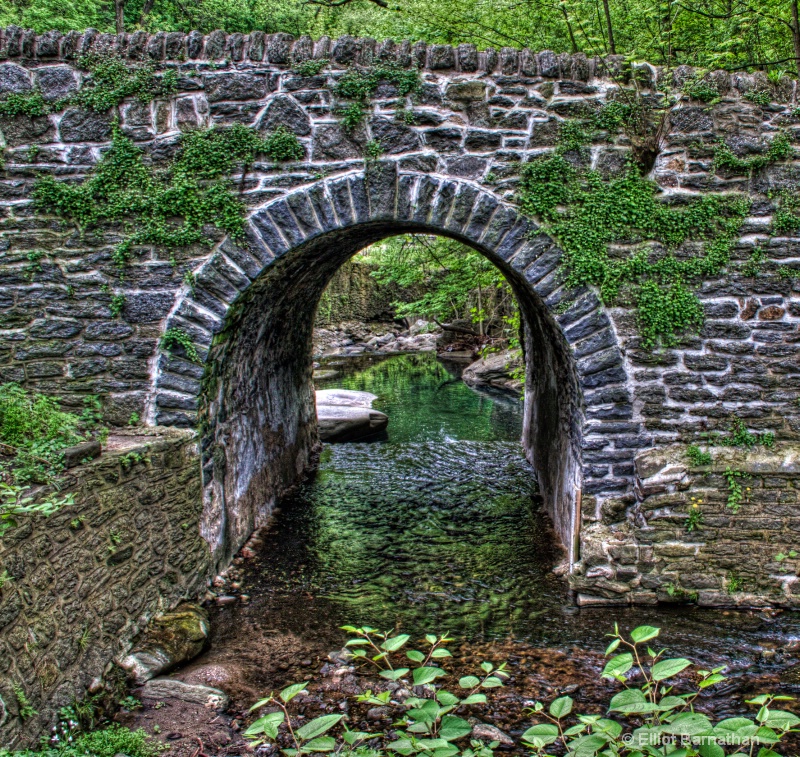 Wissahickon in Spring 33