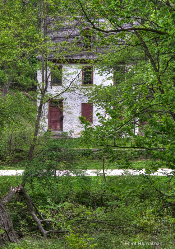 Wissahickon in Spring 32