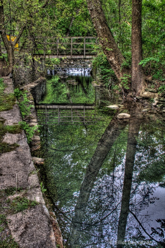 Wissahickon in Spring 30