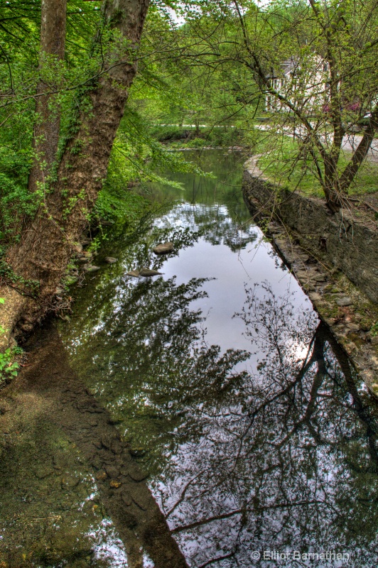 Wissahickon in Spring 29