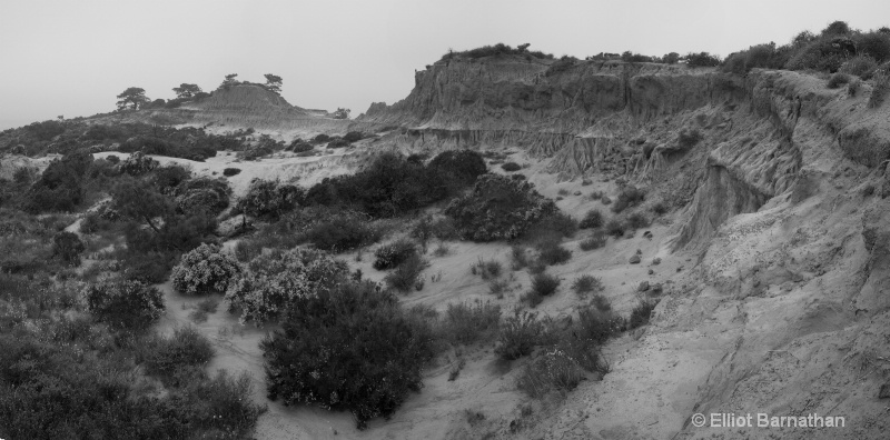 Broken Hill at Torrey Pines 9