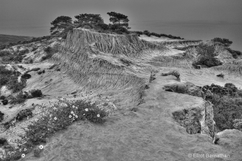 Broken Hill at Torrey Pines 14