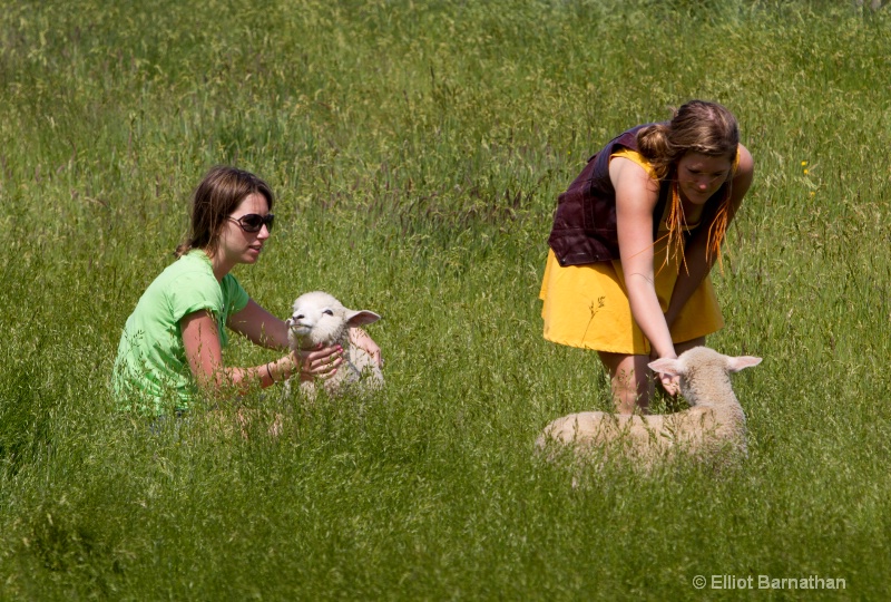 Mary Had a Little Lamb 3