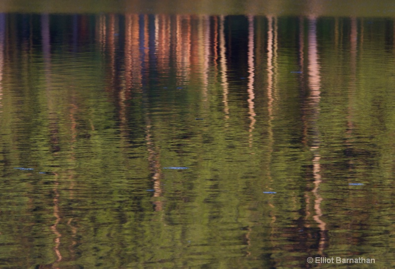 Walker Lake 5