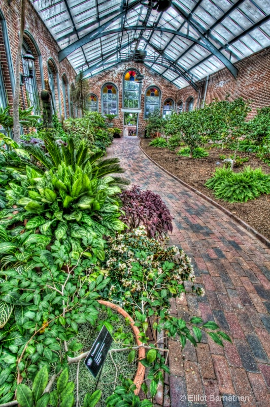 Missouri Botanical Gardens 6