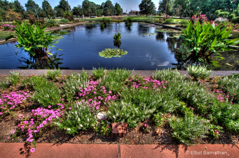 Lilly Garden in Forest Park 31