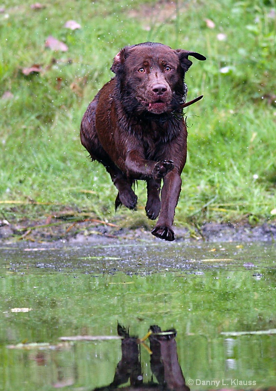 Walk'en on air