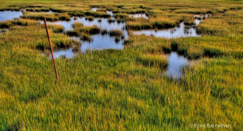 Stone Harbor 5