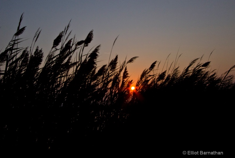 Stone Harbor Sunset 1