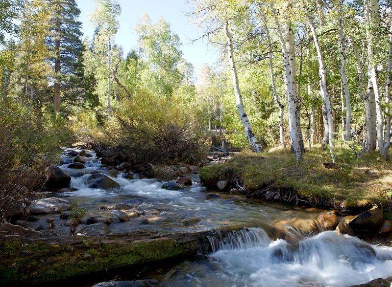 Little Walker River, Mono County, CA