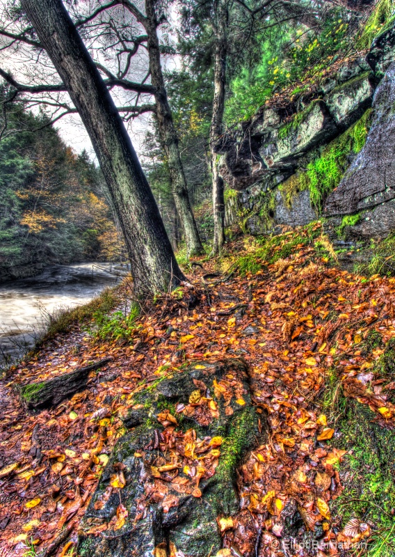 Shohola Falls 5