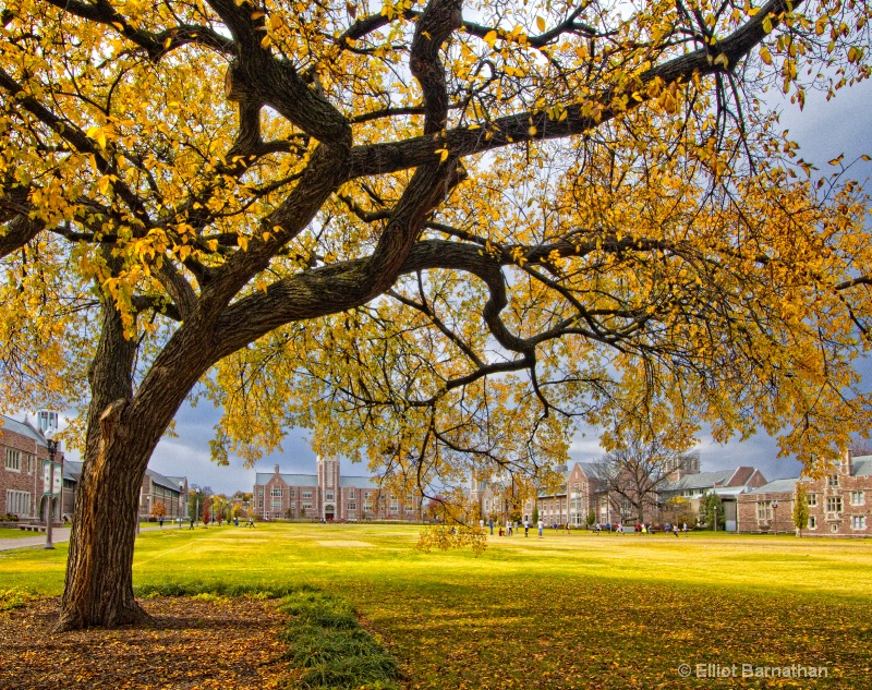 St. Louis in Fall 2