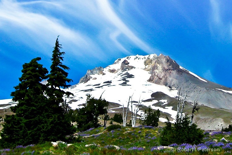 Mt Hood Oregon