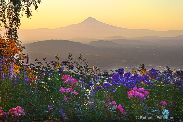 Mt Hood, Portland Oregon