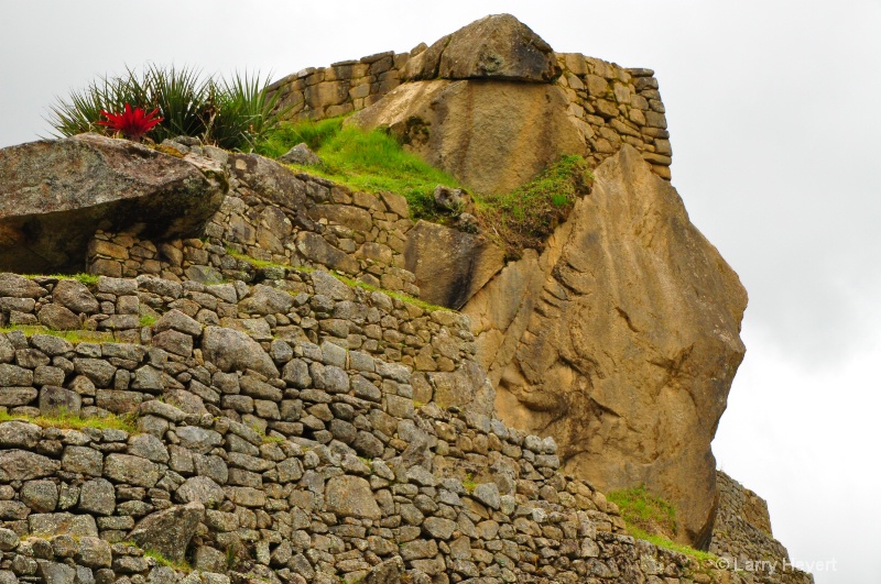 Peru- Machu Picchu