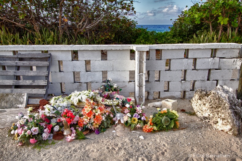 Cayman Cemetery 10