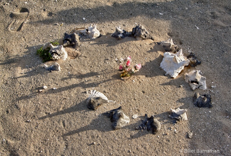 Cayman Cemetery 9