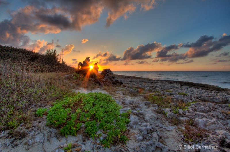 Cayman Sunset 12