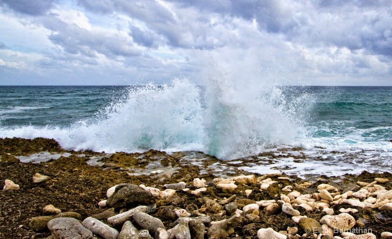 The Blowholes 5