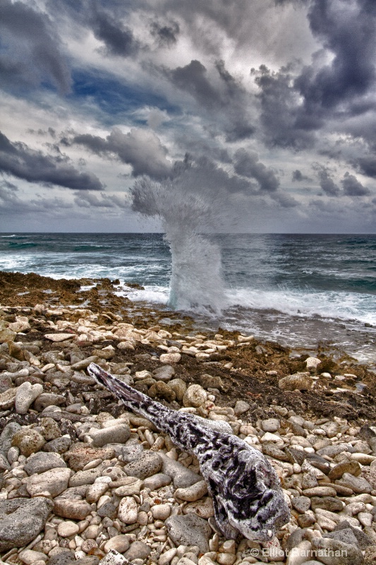 The Blowholes 4