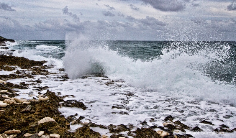 The Blowholes 2