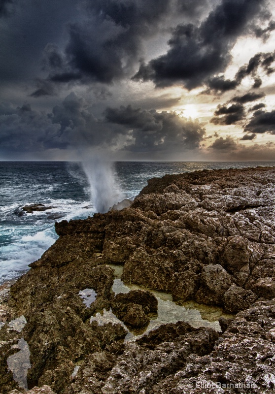 The Blowholes 1