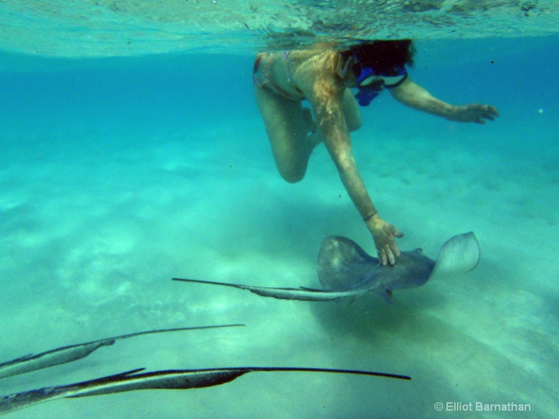 Stingray City