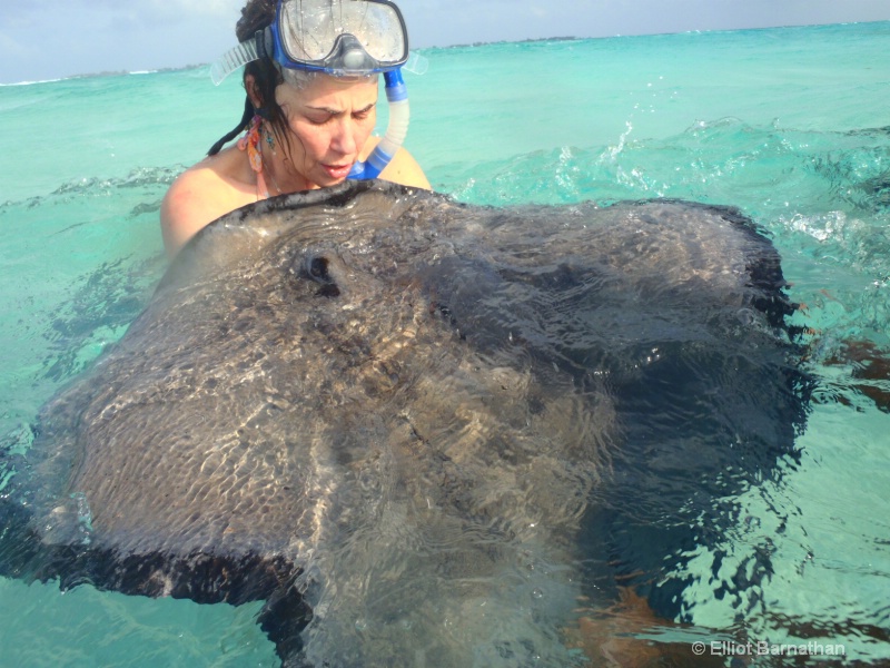 Stingray City 3