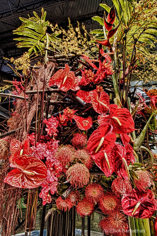 Philadelphia Flower Show 18