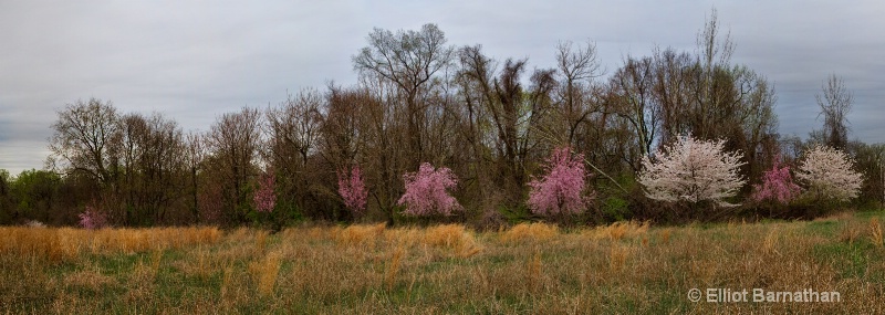 Spring in Philadelphia 7