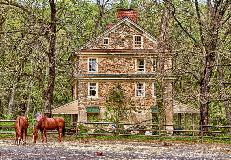 The Wissahickon in Spring 11