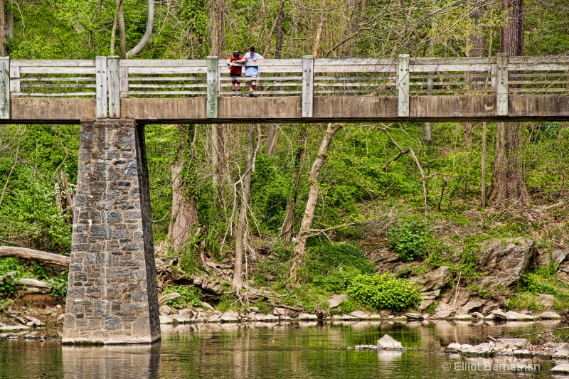 The Wissahickon in Spring 9