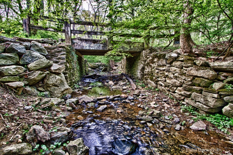 The Wissahickon in Spring 8