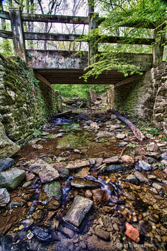 The Wissahickon in Spring 7