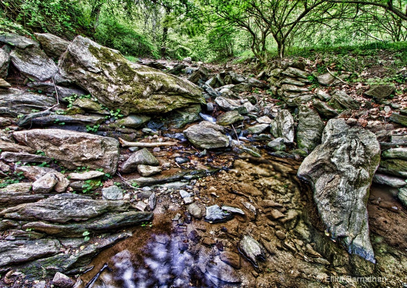 The Wissahickon in Spring 6