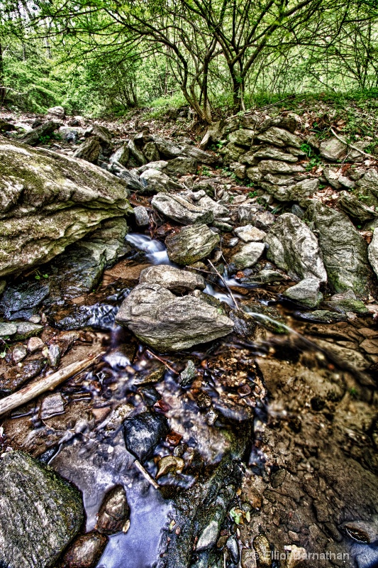 The Wissahickon in Spring 5