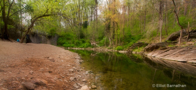 Wissahickon in Spring 