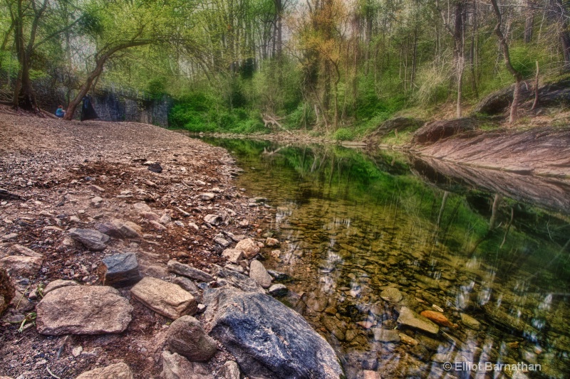 Wissahickon in Spring