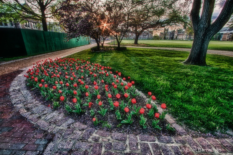 Washington University Sunset 5