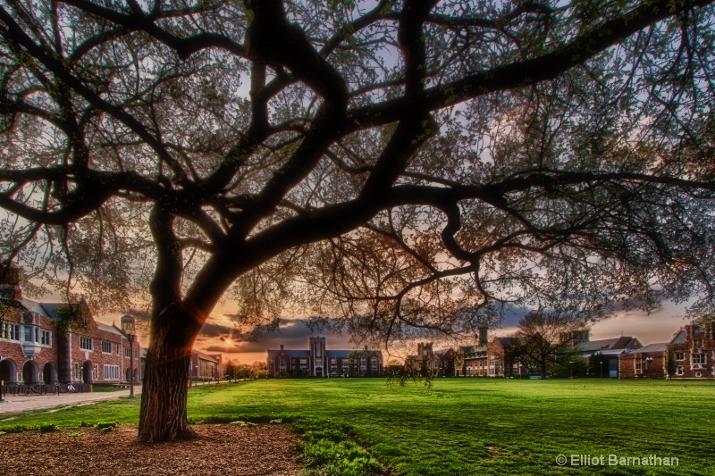 Washington University Sunset 4