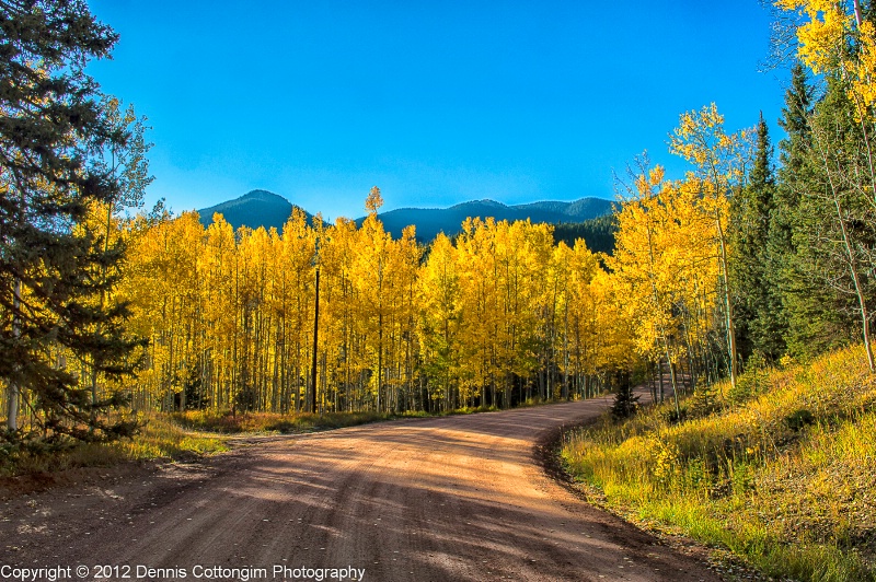 aspens-38