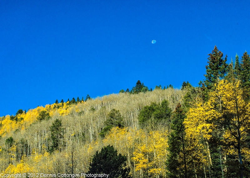 aspens-55