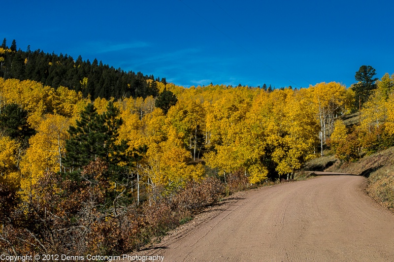 aspens-57