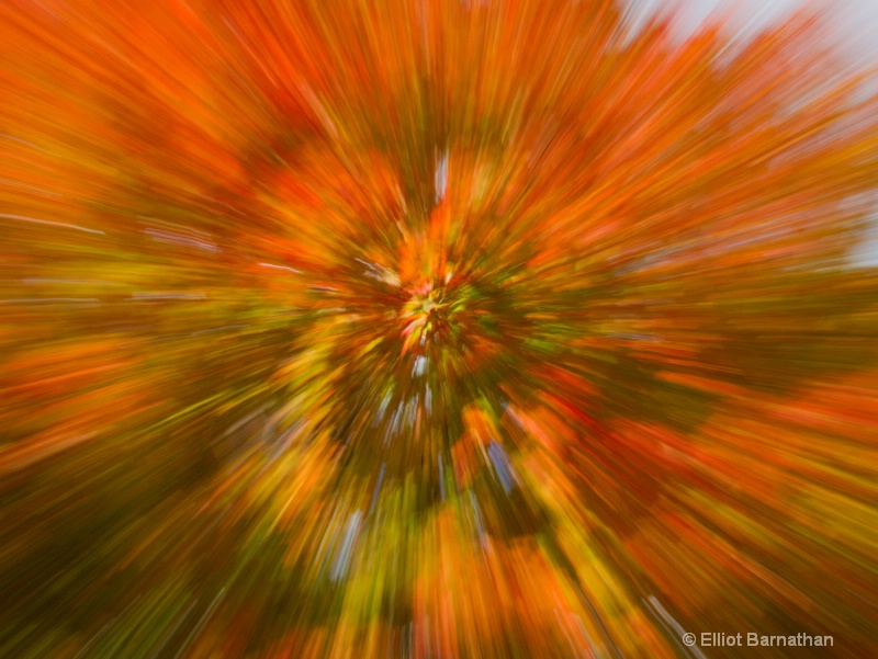 Fall Abstraction 13